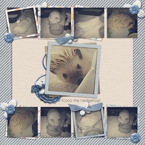 pdc_owd_seachartsv12_onemoment