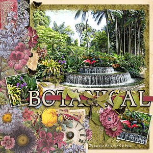 Singapore Botanical Gardens