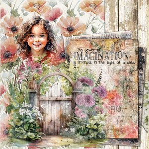 The Power Of Imagination