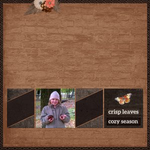 chestnut find
