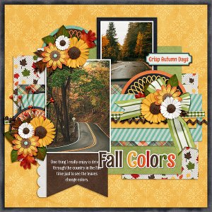 Fall Colors
