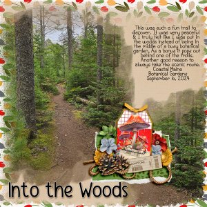 Into the Maine woods