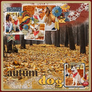 Autum Dog