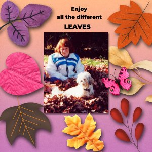 Time for Leaves