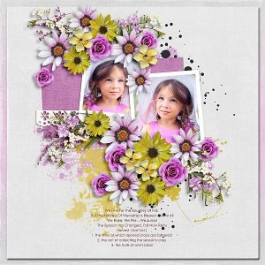 Autumn Breeze-Bundle