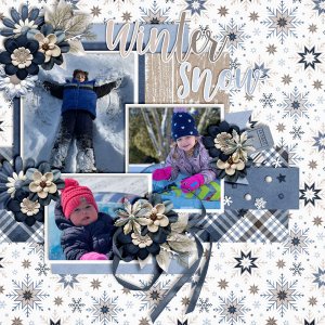 Winter-Snow5