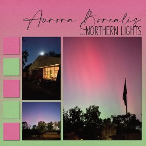 Amazing Northern Lights 10-10-24 -1