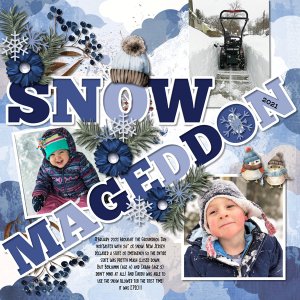 Snow-mageddon February 2021