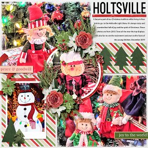 Holtsville Christmas Show