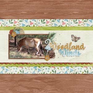 woodland winds