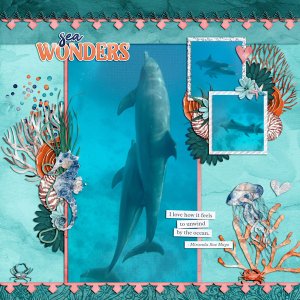 unwind to the ocean