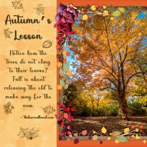 November 2024 Memory Mix-Up Challenge