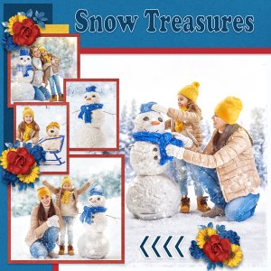 Snow Treasures