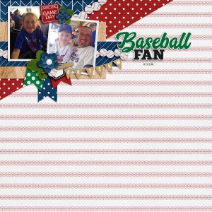 Baseball Fan