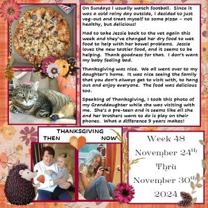 Project 365 Challenge - Week 48