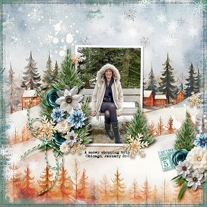 A snowy shopping trip