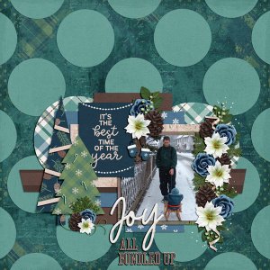 joyful winter