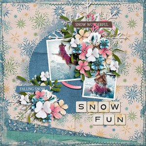 Snow Fun