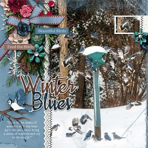 Winter Blues