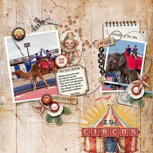 At-the-Circus