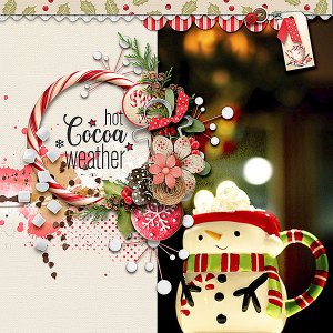 Cocoa Cup