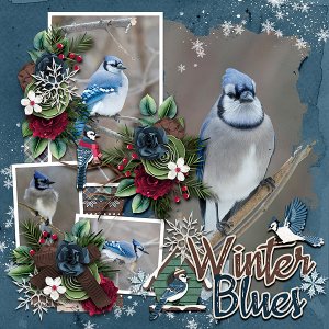 winter blues