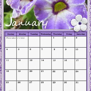 January 2026
