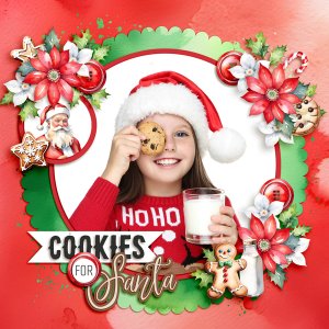 Home Baked Cookies for Santa
