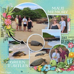 Maui Memory