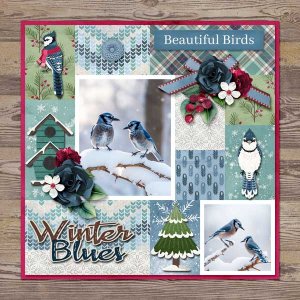 winter-blues-aimeeh-Pocketf