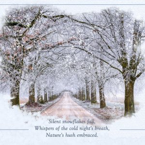 Silent Snowflakes