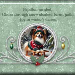 ATC 2024-055 Papillon on Sled