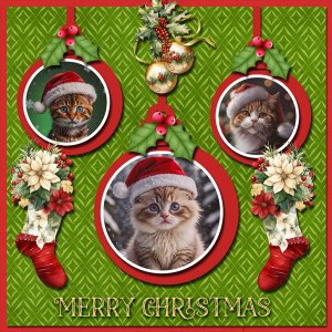 Santa Kitties