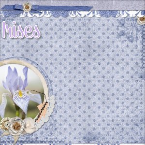 Irises2