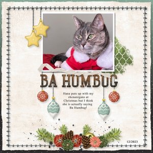 MSG_Cozy Christmas_1