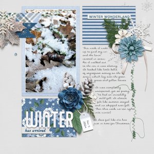 Winter Has Arrived