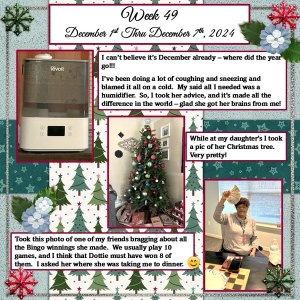 Project 365 Challenge - Week 49