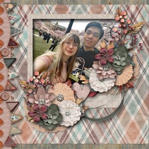 Cherry Blossom Spring