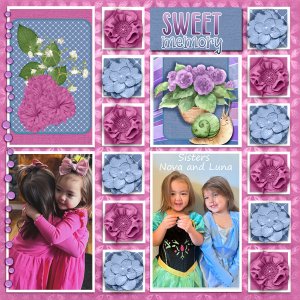 Sweet-memory2