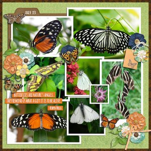 Butterfly Garden