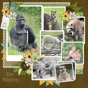 Zoo Blijdorp