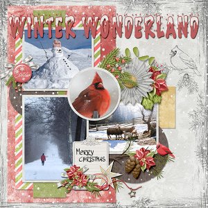 Winter wonderland
