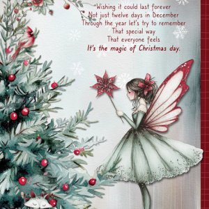 The Magic of Christmas Day