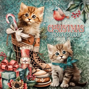 Christmas Surprise