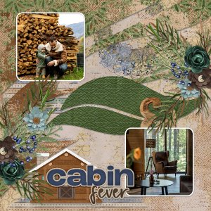 Cabin in the woods