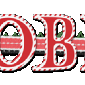 December Siggy