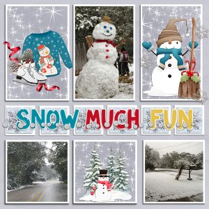 SNOW MUCH FUN