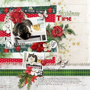 Christmas Time