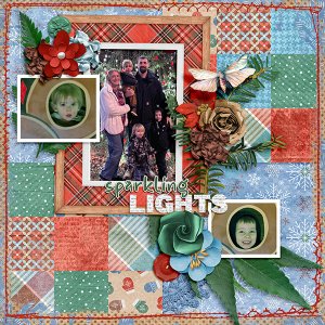 Family Lights