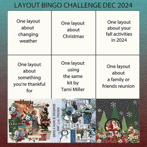 Dec 2024 Bingo Card